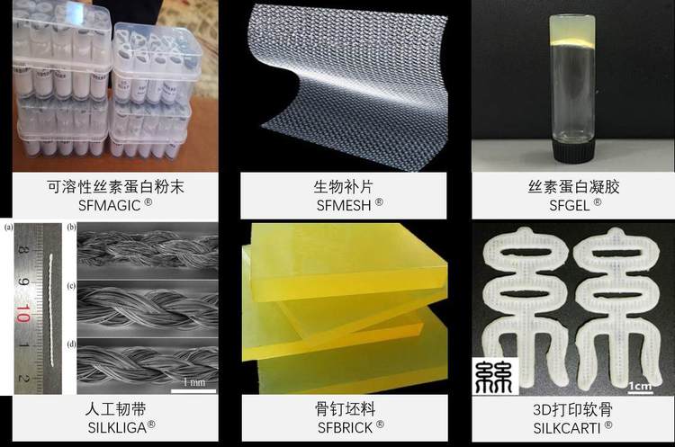 以蚕丝为原料、研发丝素蛋白新材料,「复向医疗」聚焦生物医学组织工程修复