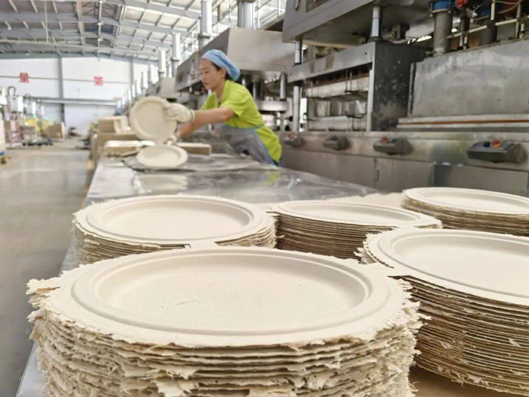 就业帮扶车间 临沧耿马群众就业的“梦工厂”